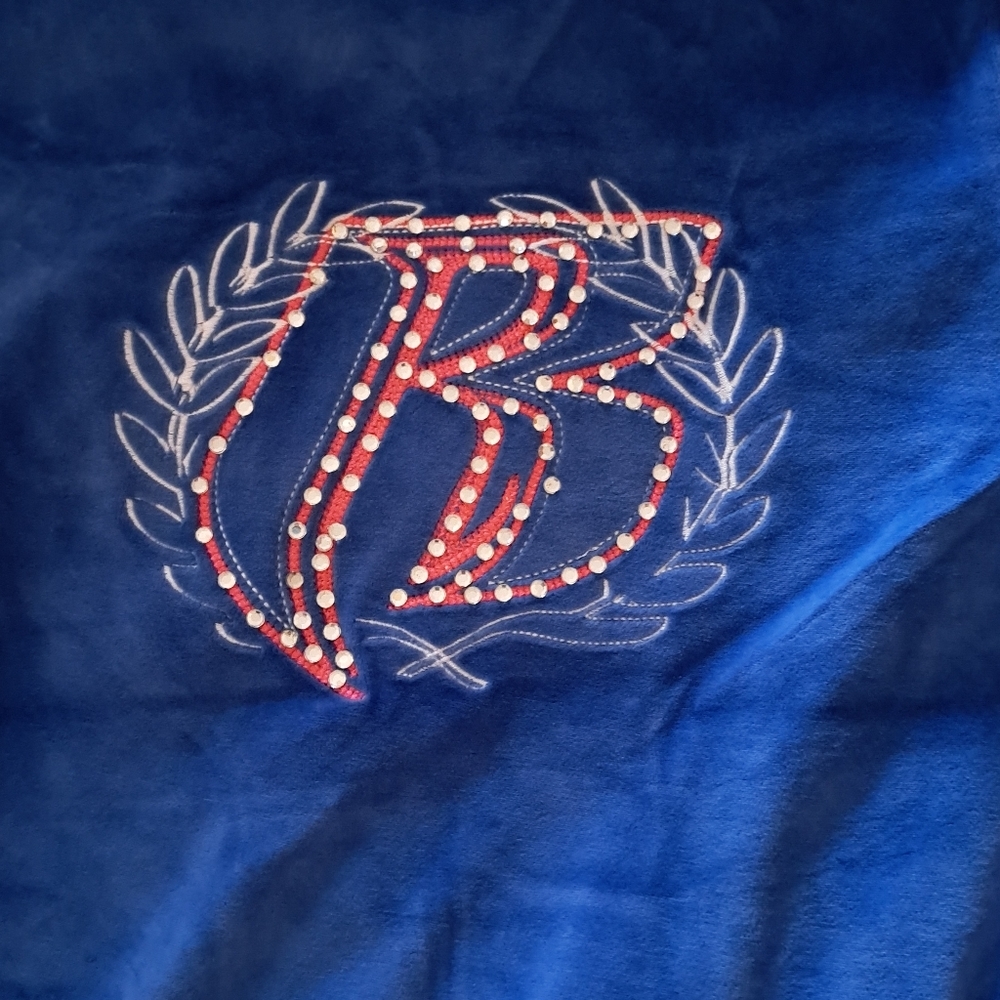 Ruff Ryder's Blue Velour Track Jacket and Skirt Set Y2K - Picture 9 of 16